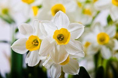 《黑神话》删减内容被挖掘：废案Boss 未实装配音等